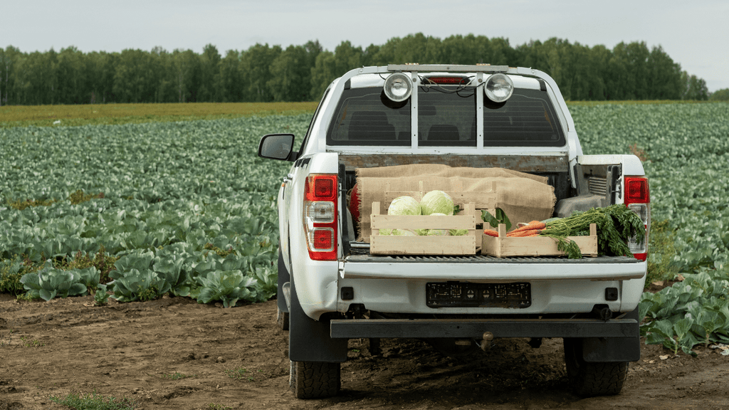 What is the Work Truck Package? - New Work Trucks